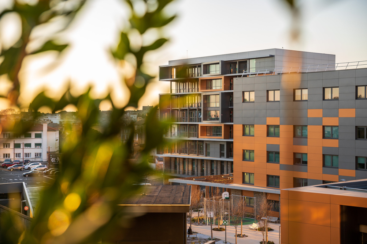 Stage en développement Web